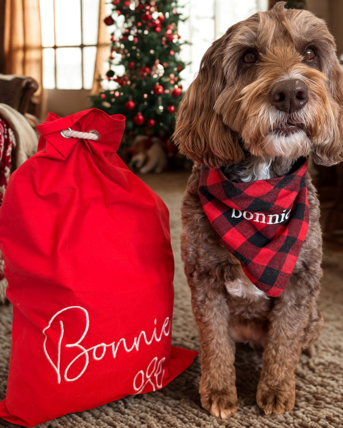 Cotton PET Santa Sacks - Red